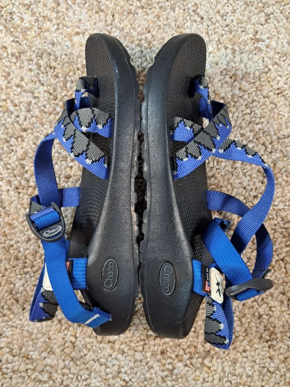 Chaco | Sandals | Size 8